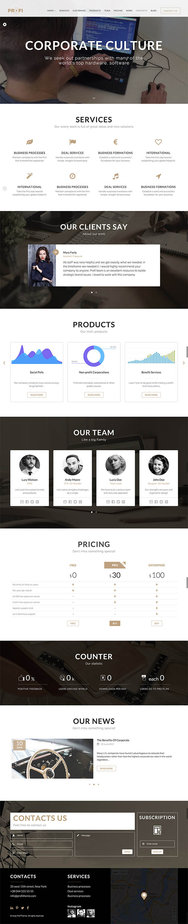 Profi – Multipurpose Corporate WordPress Theme