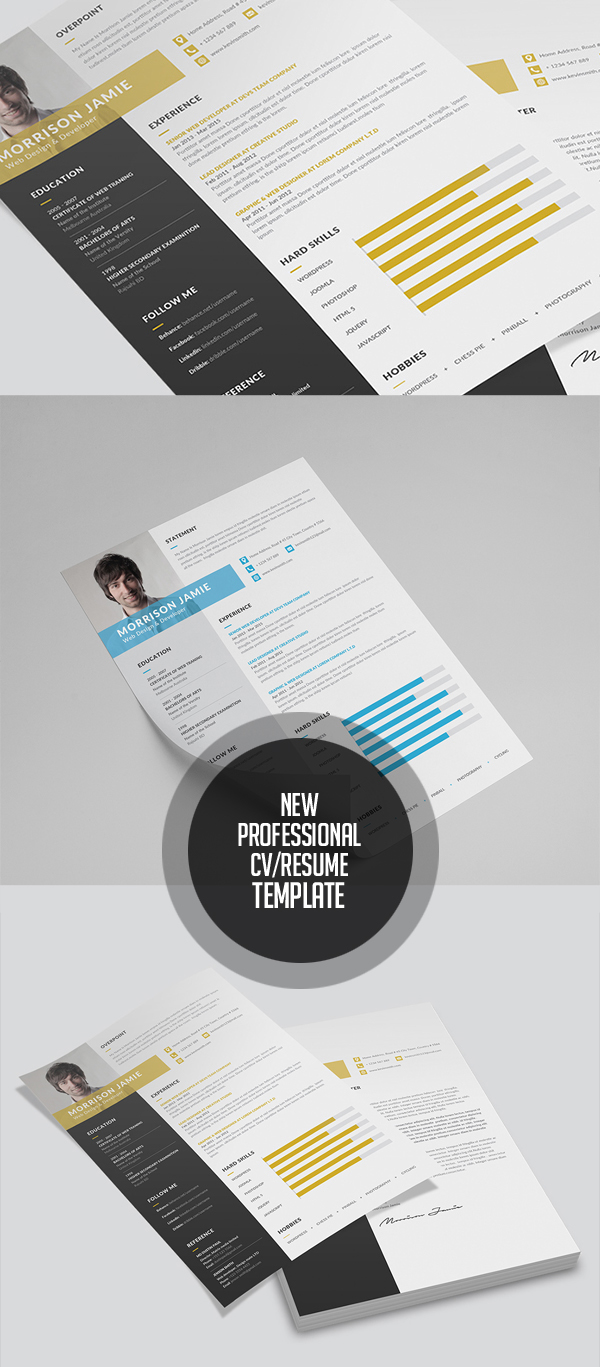 Professional Resume / CV Template