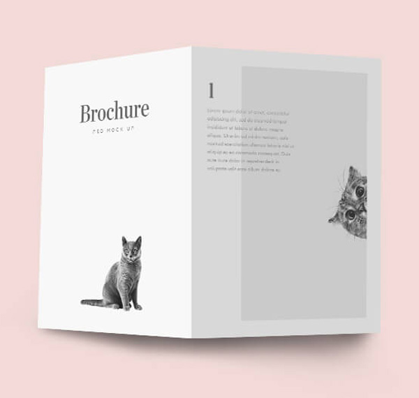 Free Minimal Bifold Brochure Mockup