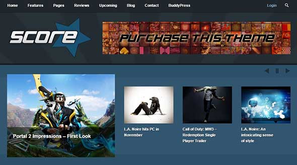 14-score-review-wordpress-buddypress-theme