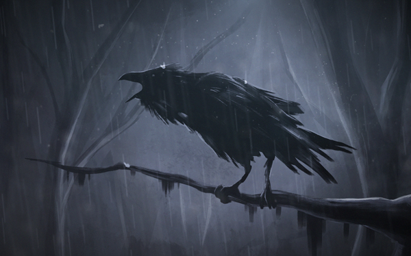 How to Draw Wild Crow in Dark Scene