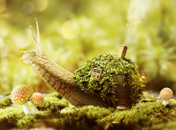 How to Create a Fantasy Snail Photo Manipulation With Adobe Photoshop