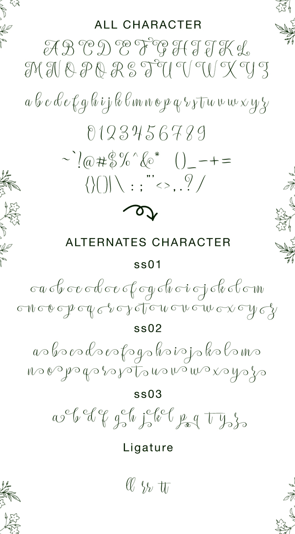 Setta Script Font