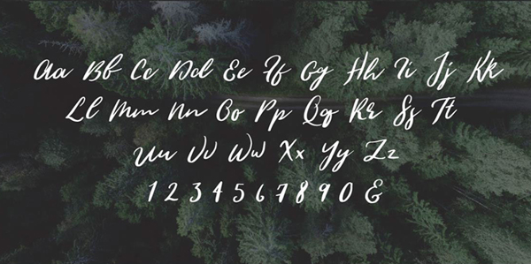 Wild Youth Font