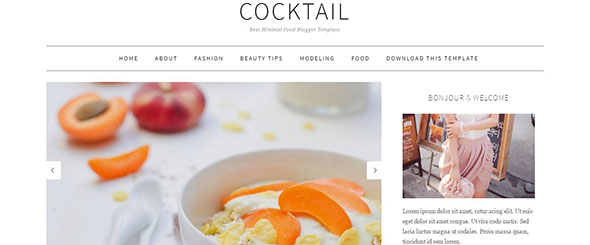 cocktail-blogger-templates-_-mybloggerthemes-com