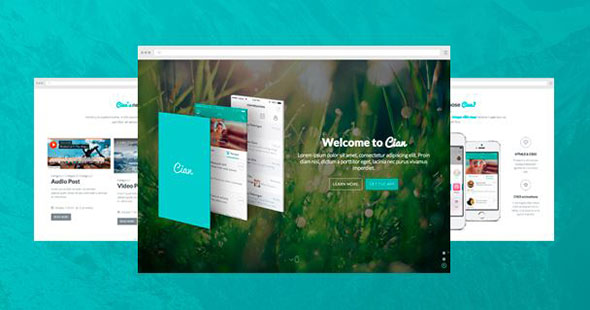 cian-app-landing-page-wordpress