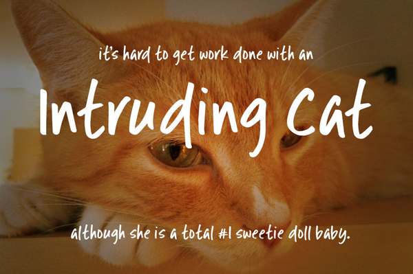 Intruding Cat Free Font