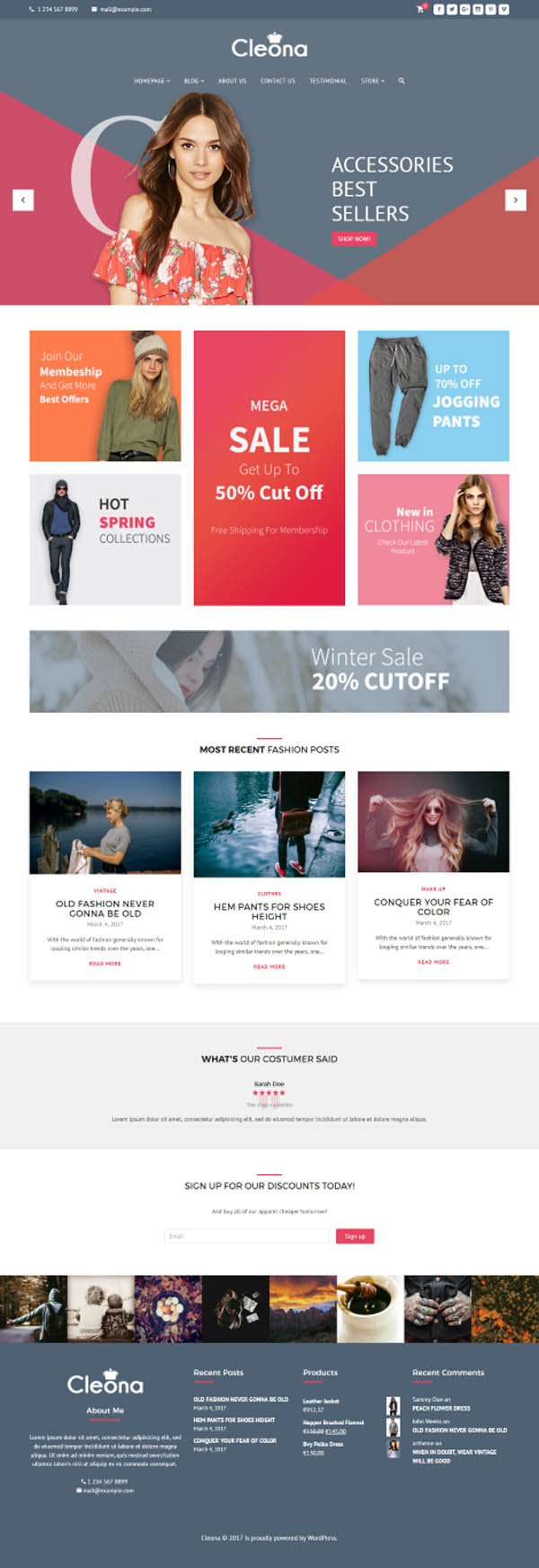 Cleona : Responsive E-Commerce WordPress Theme