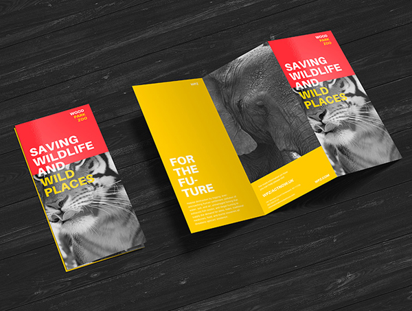 Free Premium Z-Fold Brochure Mockup PSD