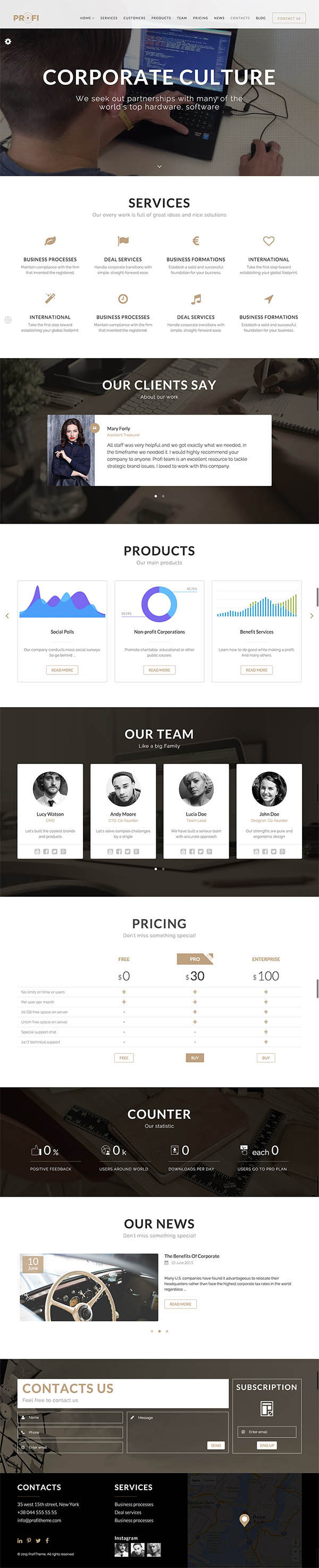 Profi : Multipurpose Corporate WordPress Theme