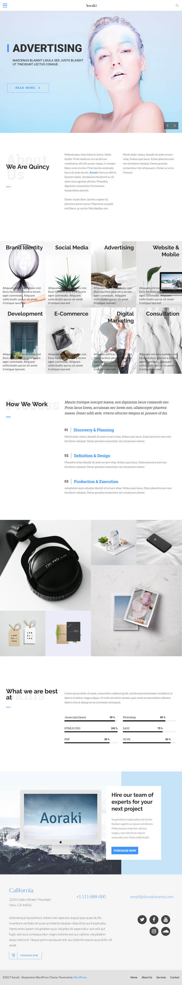 Aoraki : Multi-Concept Business WordPress Theme