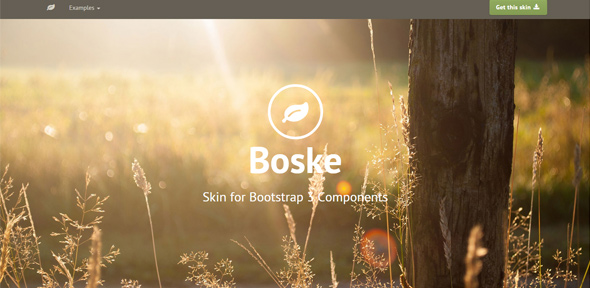 Boske Skin Bootstrap 3