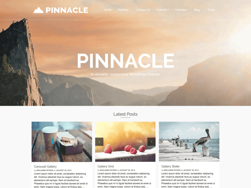 pinnacle-theme