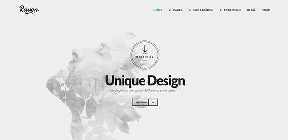 ZK Raven Minimal WordPress Theme