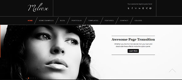 United Themes Monochrome website