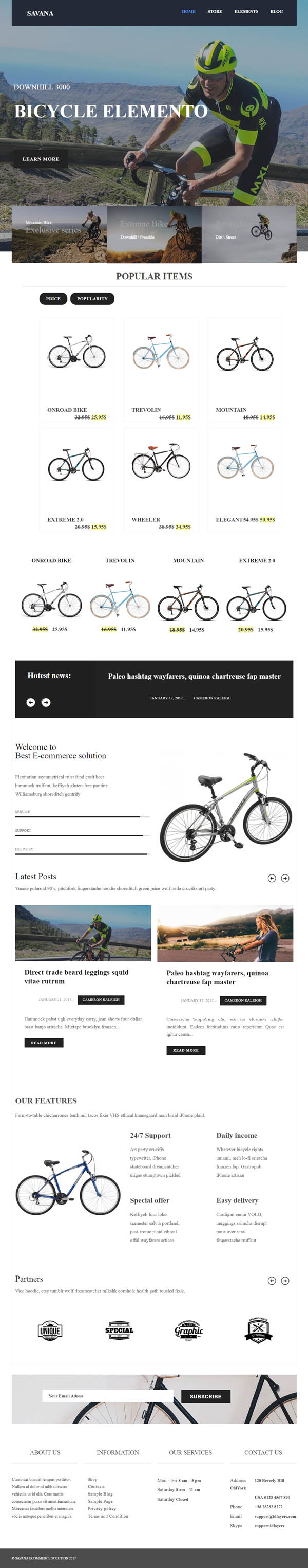 Savana - Multi Concept Responsive eCommerce WordPress Theme