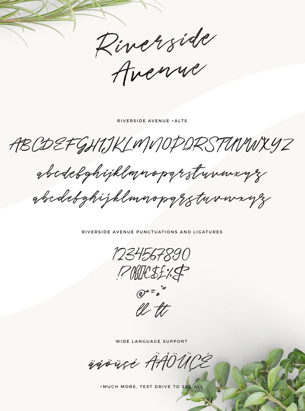 Riverside Avenue (hand brushed) Font Free Download