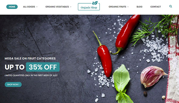 Organic Shop Ecommerce Website Theme