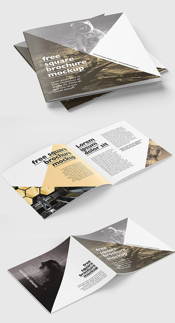 Free Square Brochure Mockup