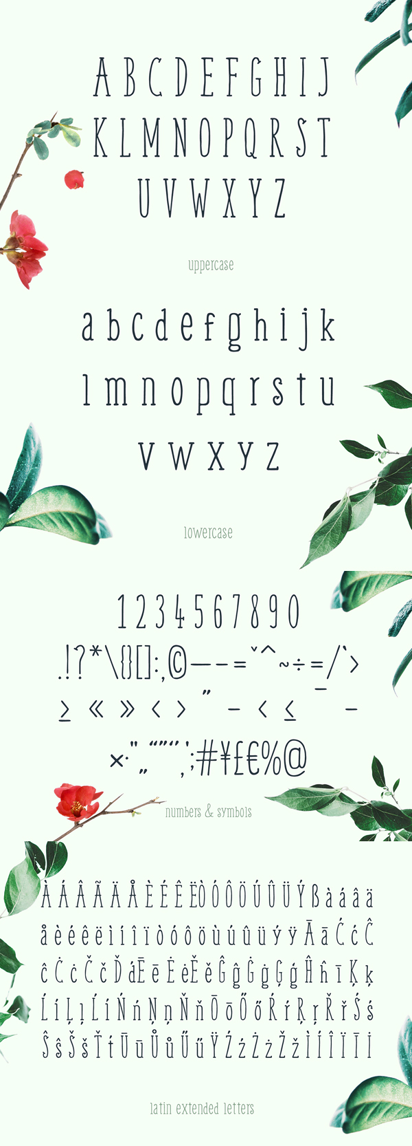 Weem Hand Lettered Font Letters