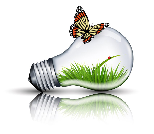 How to Create an Eco Bulb and Butterfly Illustration in Adobe Illustrator