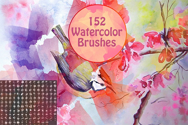 Elegant Watercolor Brushes