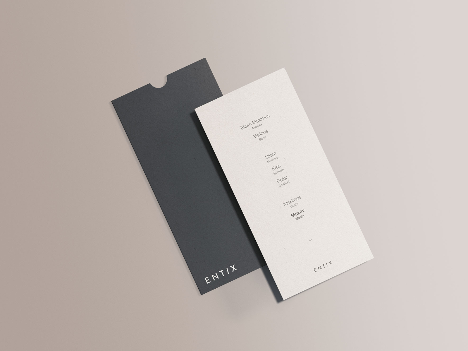 Free DL Vertical Flyer Mockup