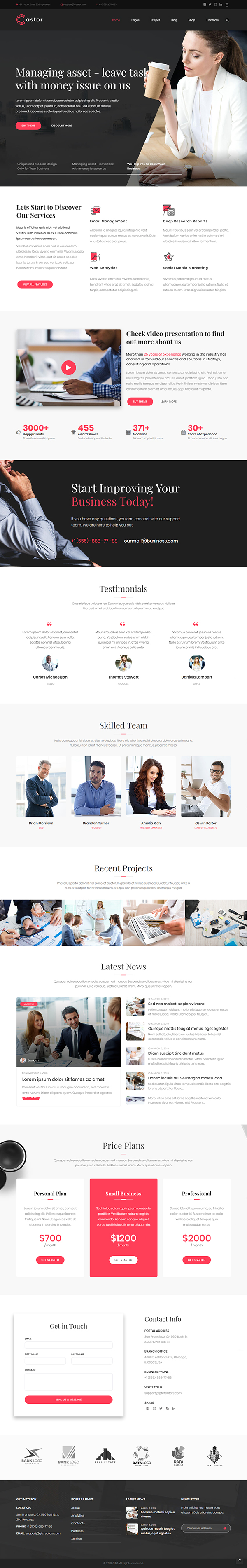 Castor - Business Consulting WordPress Theme