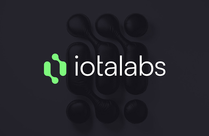 Iota Labs Logo Design By Wegrow