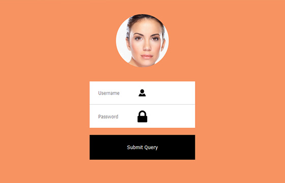 Free HTML5 And CSS3 Login, SignUp Forms