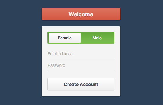 Free HTML5 And CSS3 Login, SignUp Forms