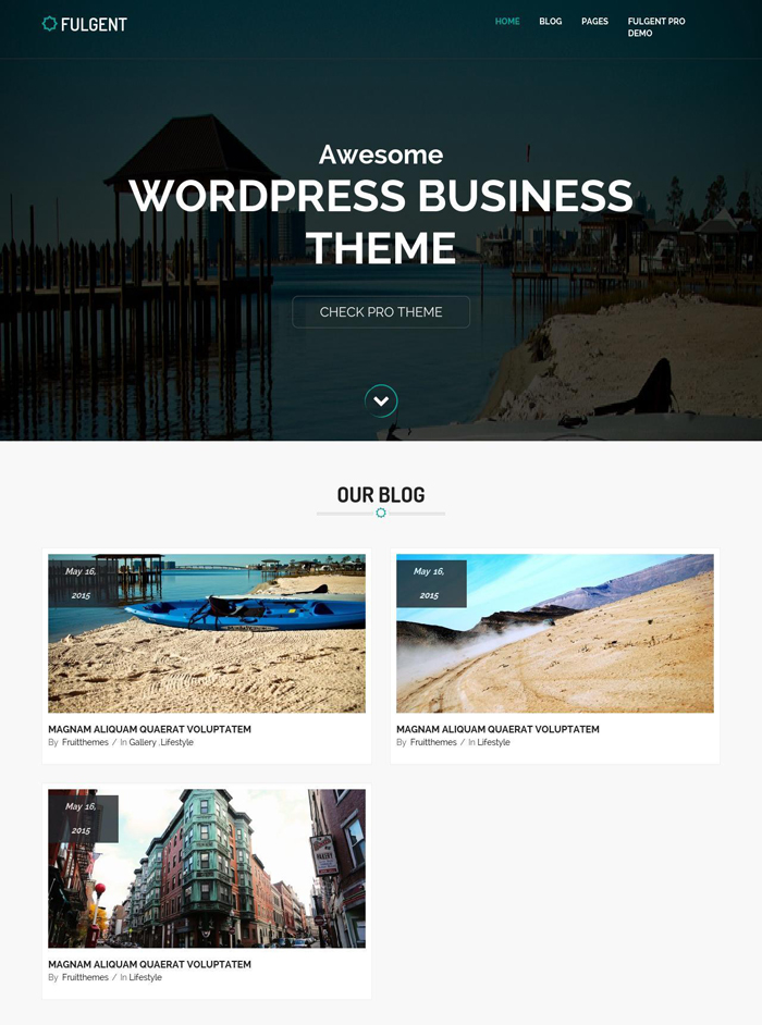 10-fulgent-free-wordpress-theme