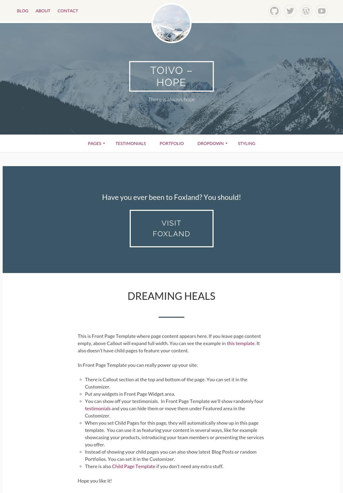 8-toivo-free-wordpress-theme