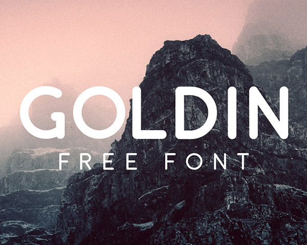 Goldin Font