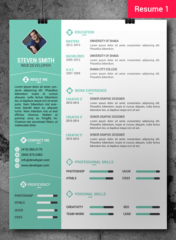 Free Professional Resume/CV Template + Cover Letter