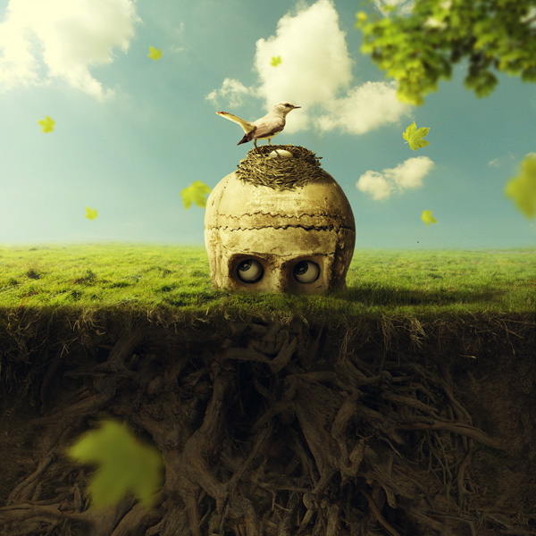 50 Best Adobe Photoshop Tutorials of 2015 - 7