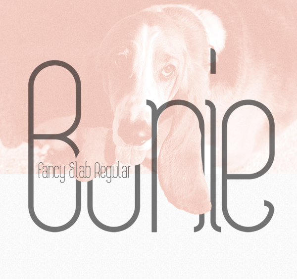 Bonie Free Font