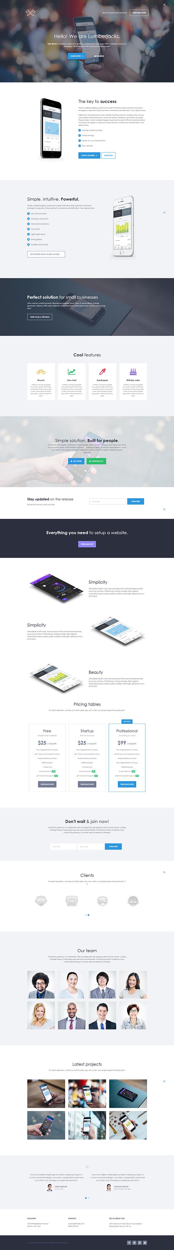 Holy Wood – Multipurpose WordPress Landing Page