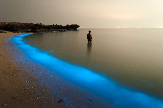 Bioluminous Larak, Iran