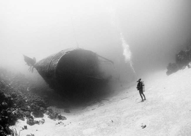 Hull-o, Caribbean Island Of Bonaire