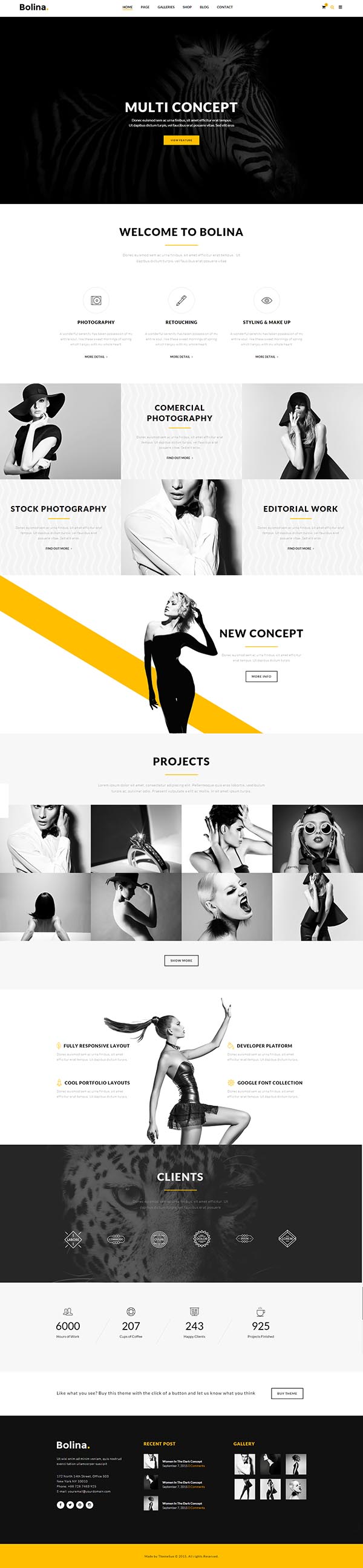 Bolina – Multipurpose WordPress Theme