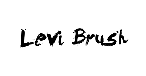 levi brush