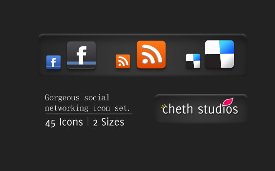 Gorgeous Mini Social Networking Icon Set