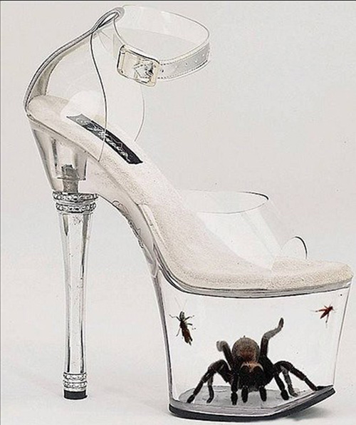 Spider in 35 Ingenious Examples of Footwear