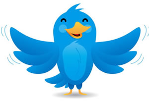 twitter-mascot-logo-photoshop