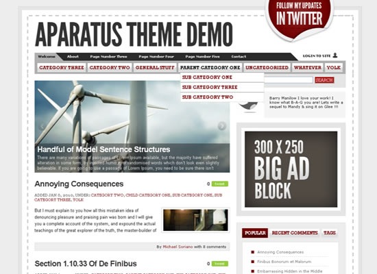 aparatus-beautiful-wordpress-themes-2010