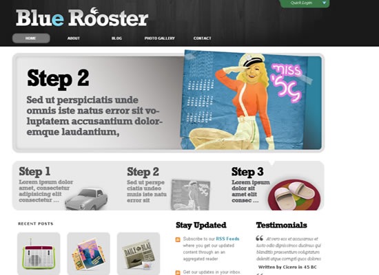 blue-rooster-beautiful-wordpress-themes-2010