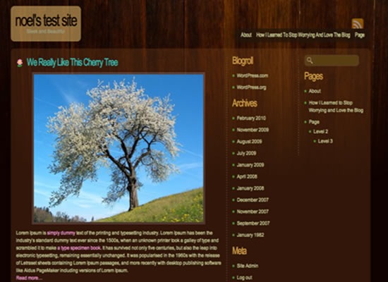 dark-wood-beautiful-wordpress-themes-2010