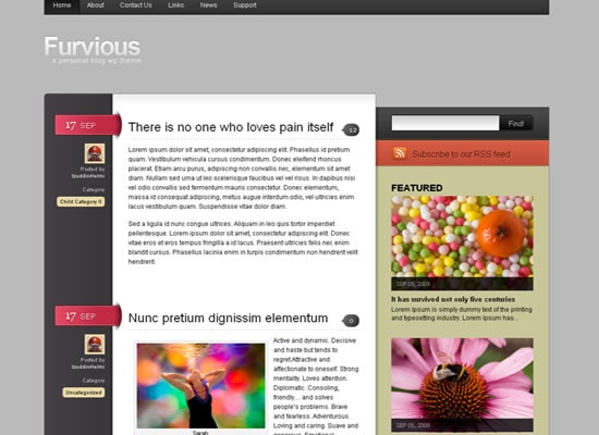 furious-beautiful-wordpress-themes-2010