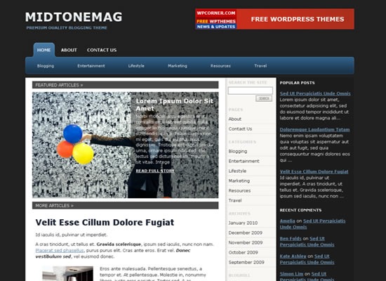 midtonemag-beautiful-wordpress-themes-2010